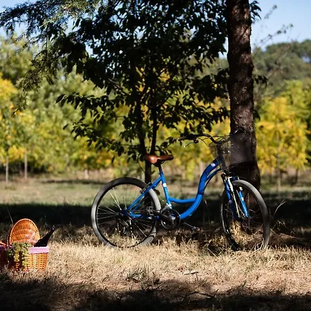 Solar Dos Caceres Hotel