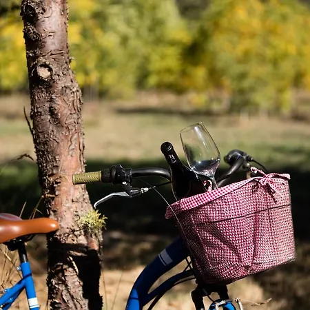 Solar Dos Caceres Отель 4*