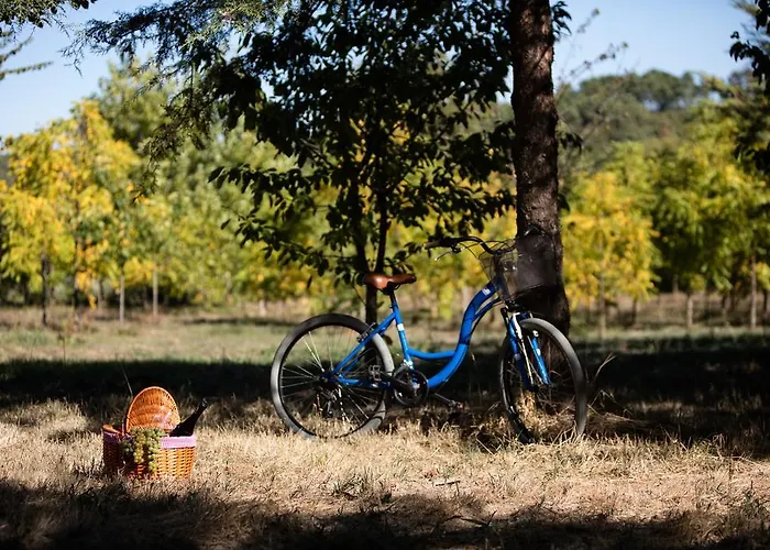 Solar Dos Caceres Hotel