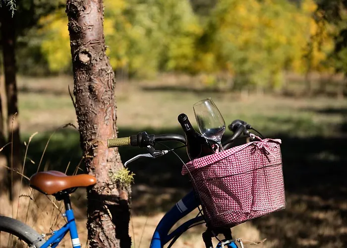 Solar Dos Caceres Hotel 4*